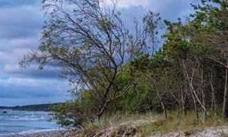 野钓不打窝可以不，看完你就明白了