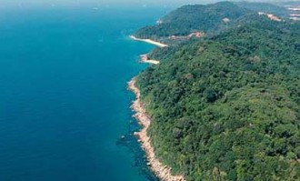 拉丝粉怎样搭配饵料使用效果最好，看看它们之间的比例吧